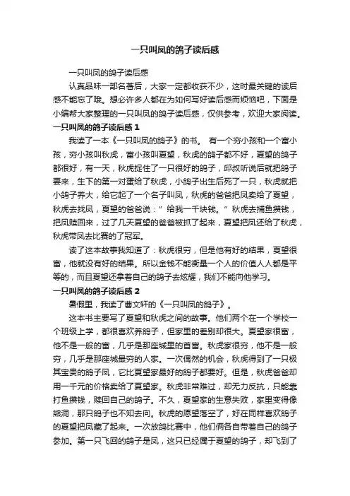 一只叫凤的鸽子读后感