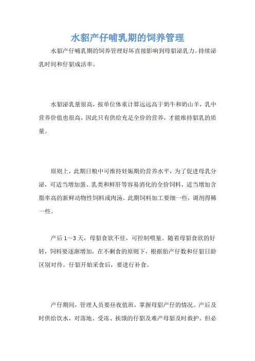 水貂产仔哺乳期的饲养管理
