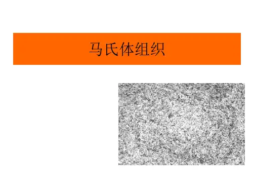 马氏体PPT.