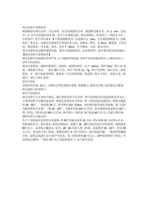 刺五加种子处理技术