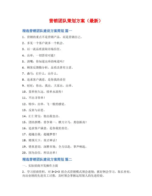 营销团队策划方案(最新)