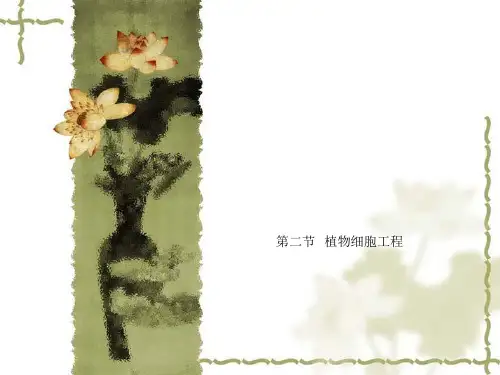 第二节   植物细胞工程