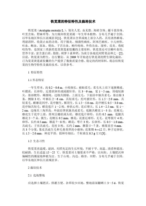 铁苋菜的特征特性及栽培技术