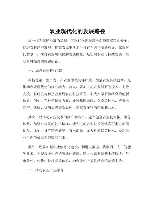 农业现代化的发展路径