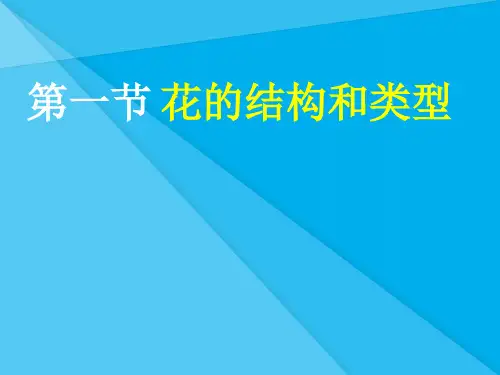 花的结构和类型PPT课件8 济南版优秀课件