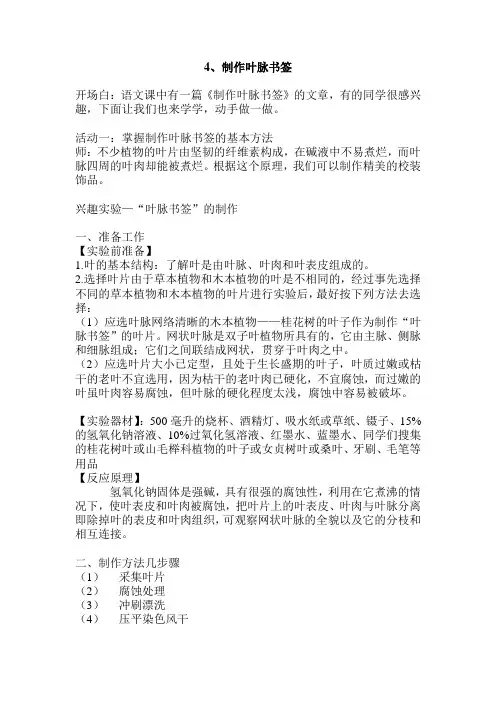 综合实践教案《制作叶脉书签》