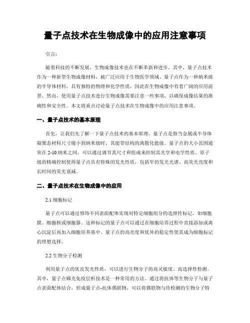量子点技术在生物成像中的应用注意事项