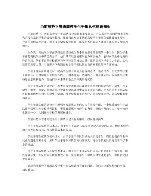 当前形势下普通高校学生干部队伍建设探析