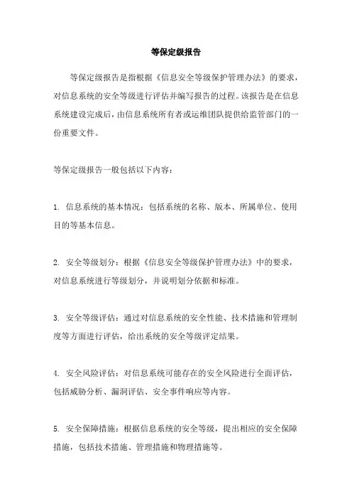 等保定级报告