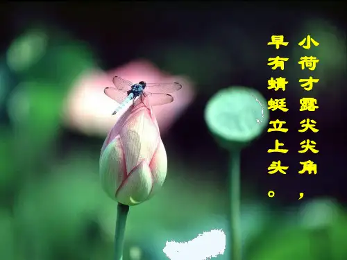 高教版中职语文基础模块下册第13课荷塘月色ppt课件.ppt