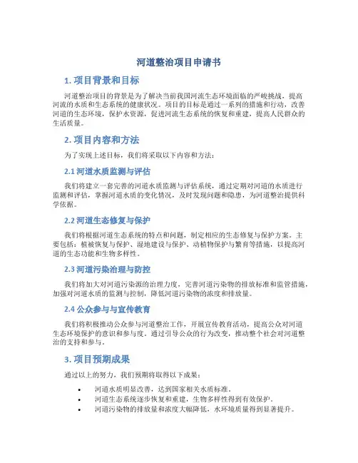 河道整治项目申请书