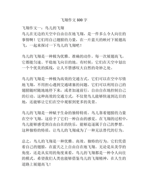 飞翔作文800字