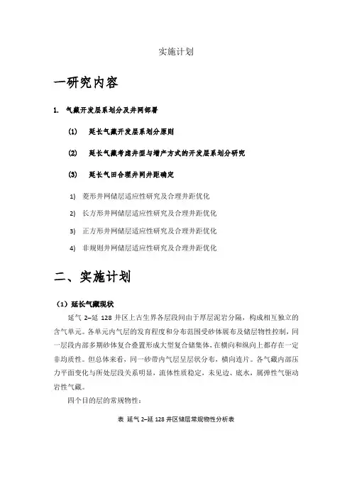 王威延长项目计划