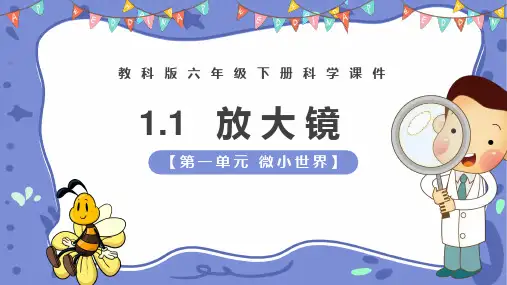 《放大镜》微小世界PPT课件