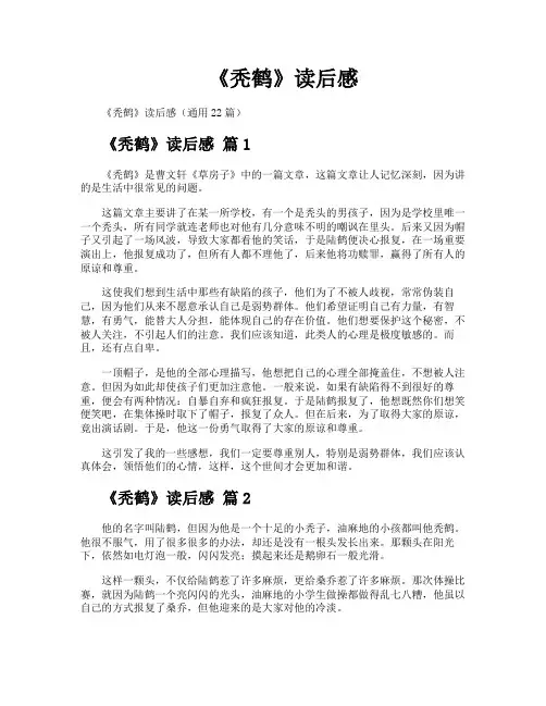 《秃鹤》读后感