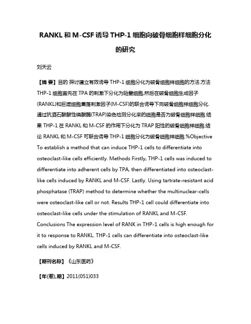 RANKL和M-CSF诱导THP-1细胞向破骨细胞样细胞分化的研究