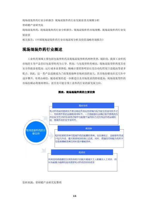 中国现场混装炸药行业市场深度分析及投资战略咨询报告