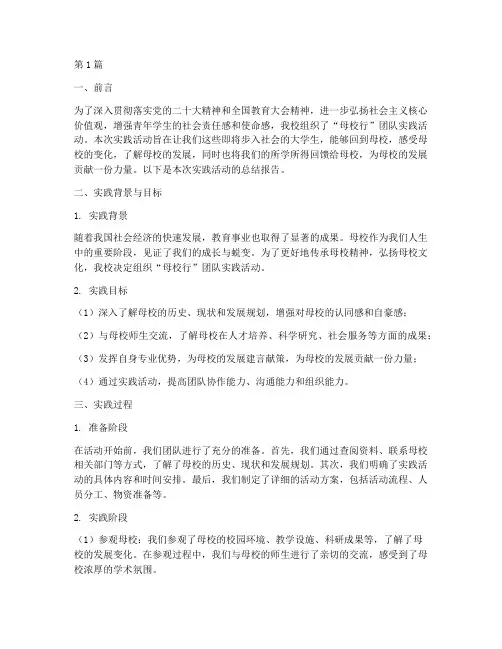 母校行团队实践总结报告(2篇)