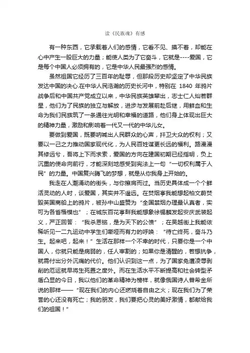 读《民族魂》有感_作文1100字_小学六年级读后感_
