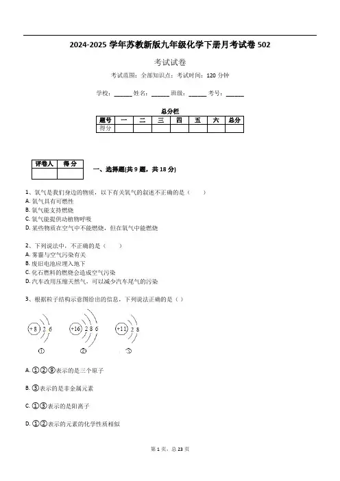 2024-2025学年苏教新版九年级化学下册月考试卷502