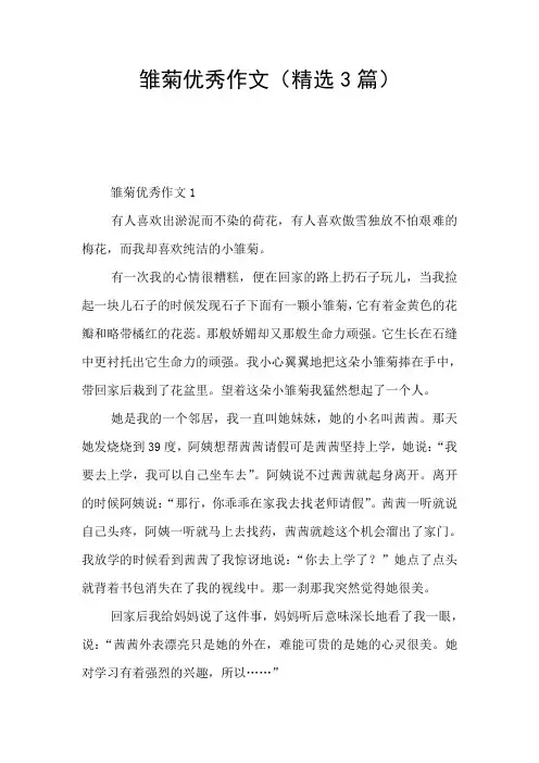 雏菊优秀作文(精选3篇)