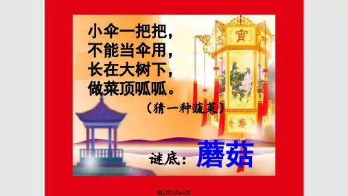 部编本一下猜字谜.pptx