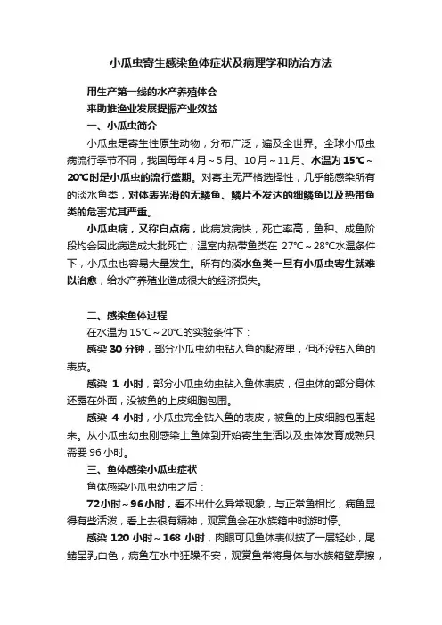小瓜虫寄生感染鱼体症状及病理学和防治方法
