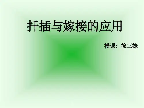扦插和嫁接ppt课件