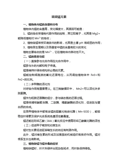 说说锰元素
