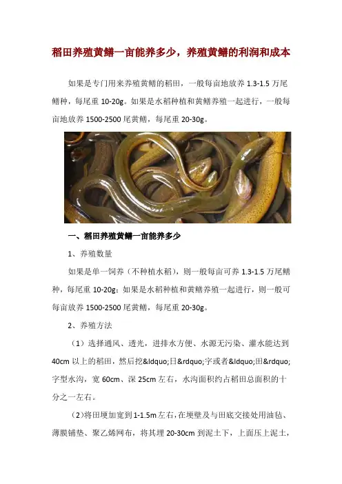 稻田养殖黄鳝一亩能养多少,养殖黄鳝的利润和成本