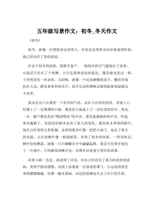 五年级写景作文：初冬_冬天作文