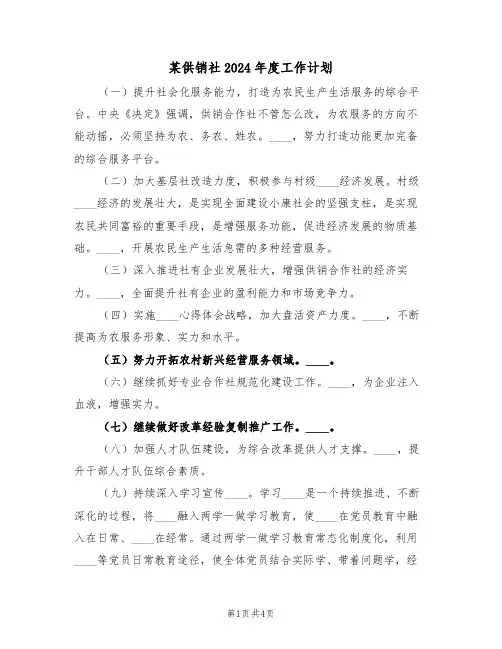 某供销社2024年度工作计划（二篇）
