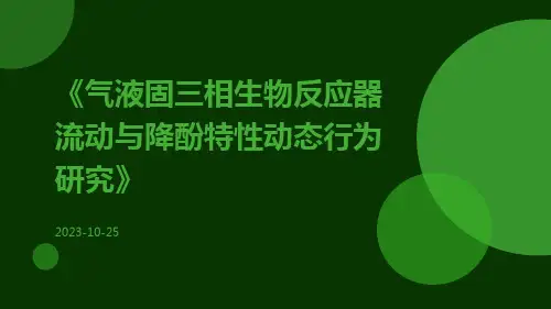 气液固三相生物反应器流动与降酚特性动态行为研究