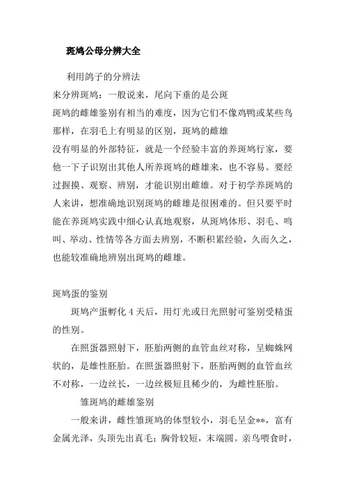 斑鸠公母分辨大全