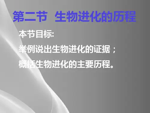 苏教版初中生物八年级上册--5.16.2-生物的进化历程-课件--