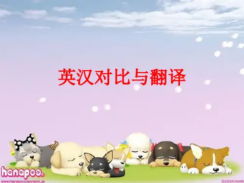 1_综合与分析