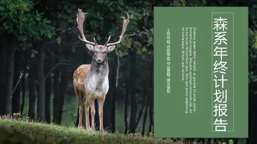 森系年终计划报告PPT模板
