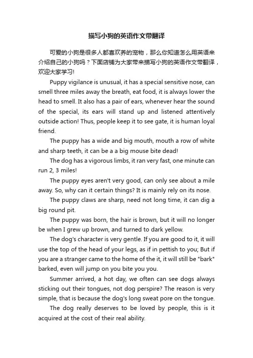 描写小狗的英语作文带翻译