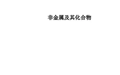 硫酸和硝酸的氧化性 课件