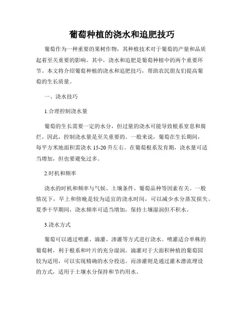 葡萄种植的浇水和追肥技巧