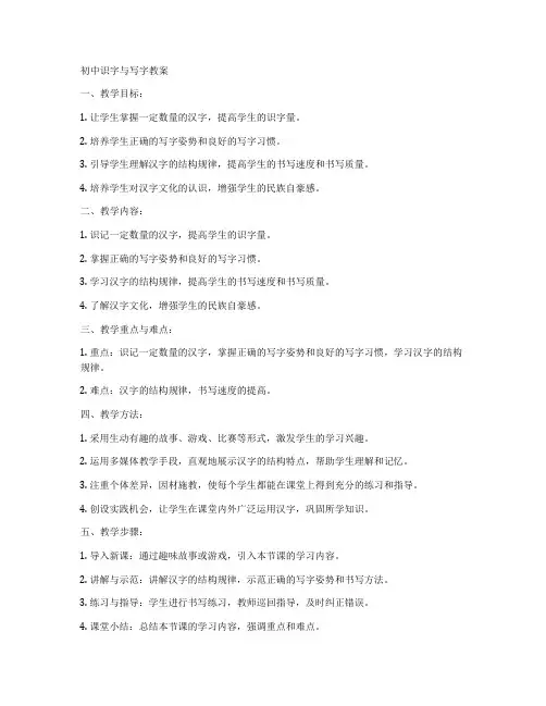 初中识字与写字教案