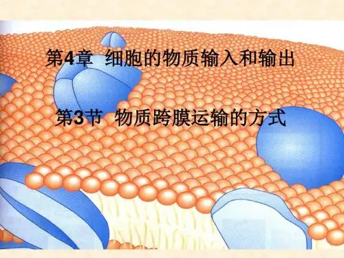 人教版高中生物必修一课件：4.3物质跨膜运输的方式(43张ppt)