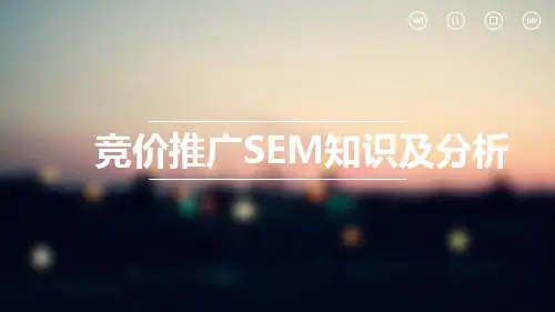 √竞价推广SEM知识及分析PPT课件