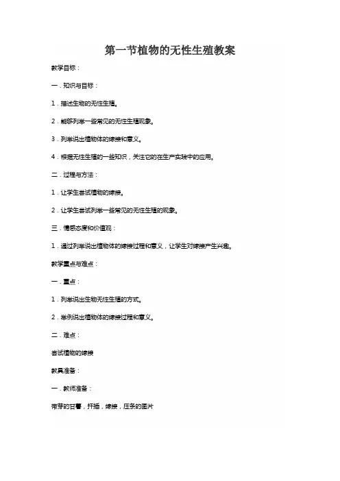 植物的无性生殖教案