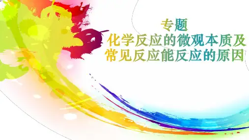 专题化学反应的微观本质及能发生反应条件