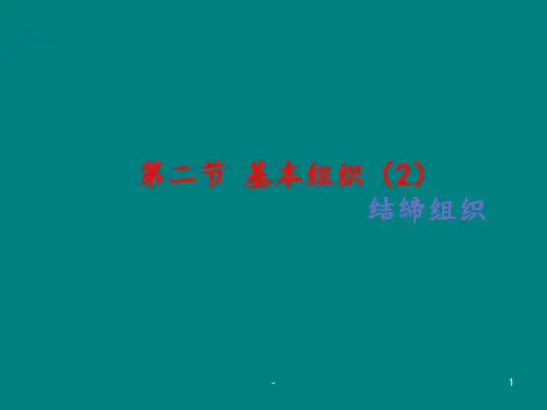 结缔组织课件ppt课件