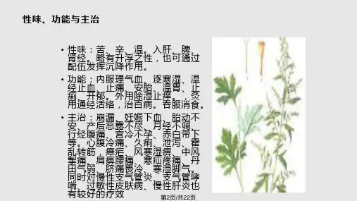 艾叶挥发油及其经皮吸收