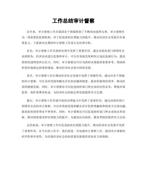 工作总结审计督察