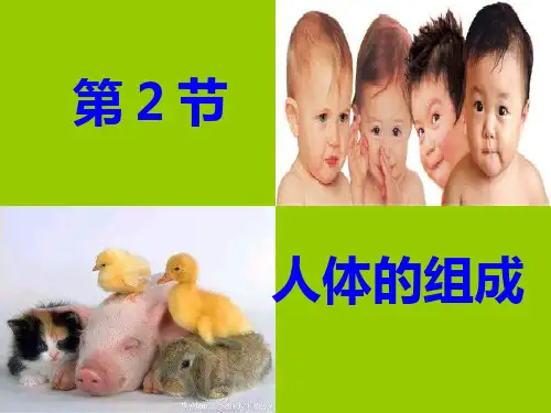 苏科版七年级下册生物 人体的组成 课件 