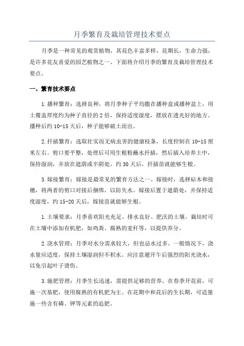 月季繁育及栽培管理技术要点